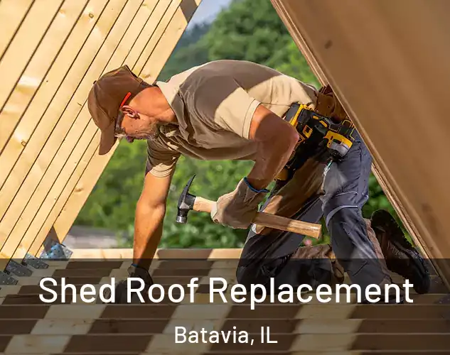  Shed Roof Replacement Batavia, IL