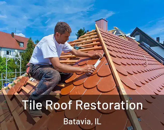  Tile Roof Restoration Batavia, IL